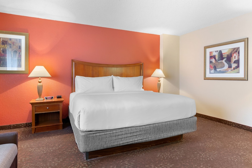 Standard Room, 1 King Bed, Accessible (Communications) - Photo 4