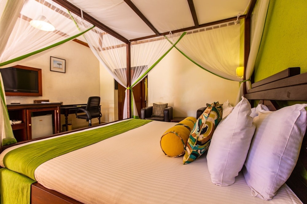 Deluxe Room photo 2