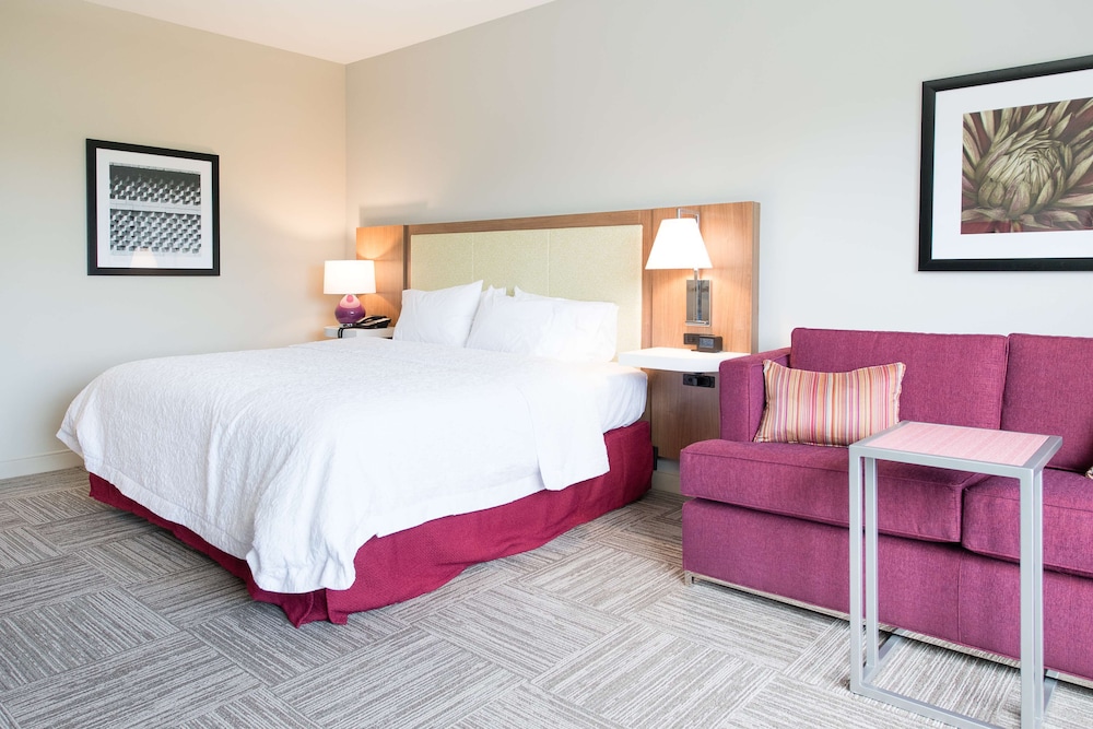Room, 1 King Bed with Sofa bed, Accessible, Bathtub photo 1