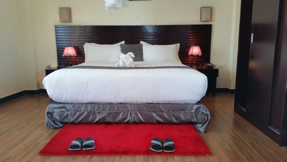 Junior Double Room, Accessible Bathtub, City View photo 2
