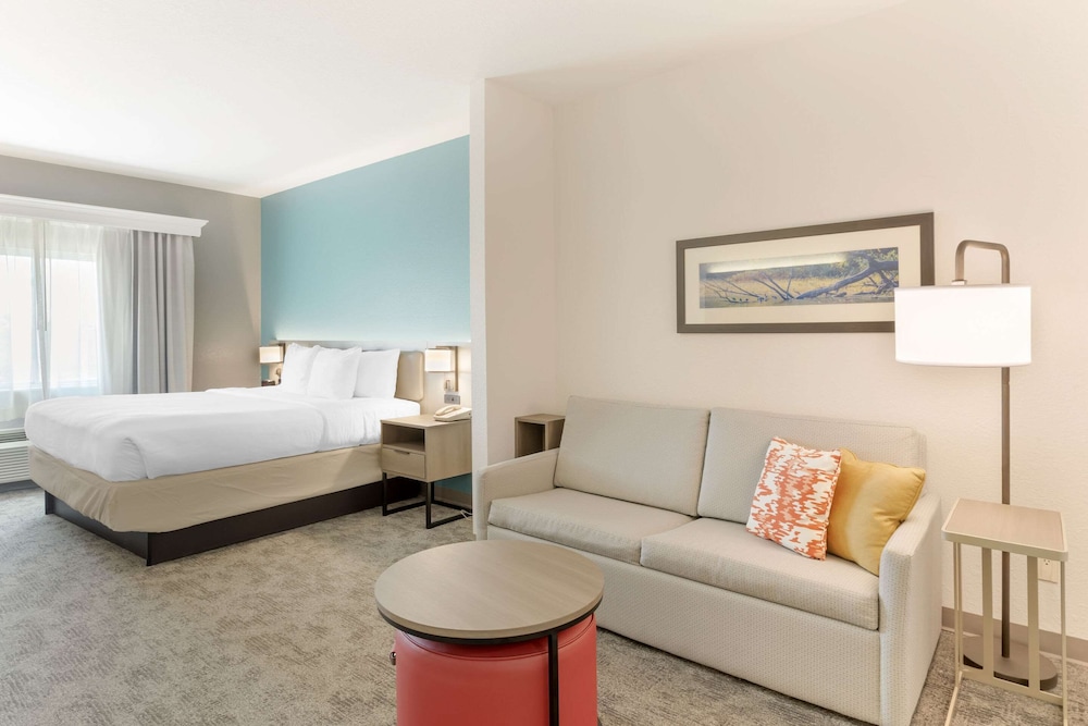 Suite, 1 King Bed with Sofa bed, Accessible, Non Smoking (Roll-In Shower) - Photo 4