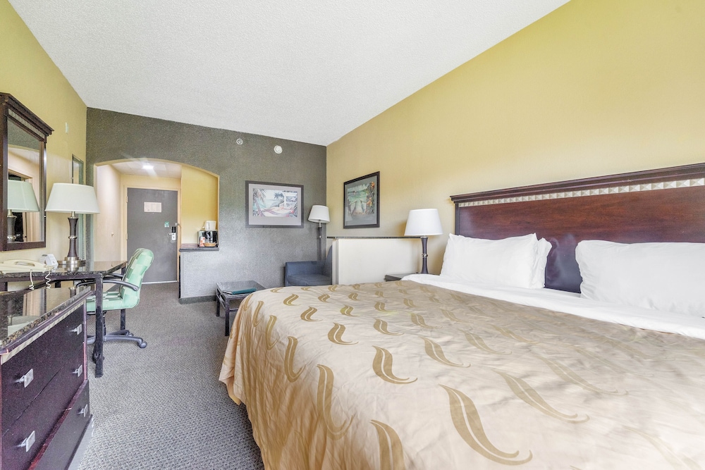 Studio Suite, 1 King Bed with Sofa bed