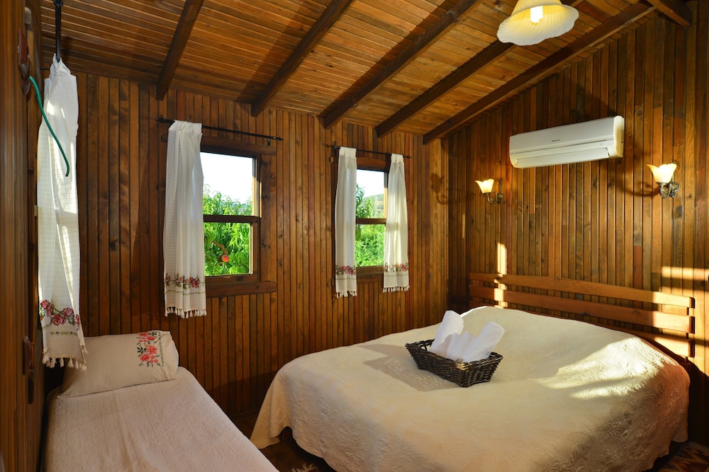 Standard Tree House photo 1