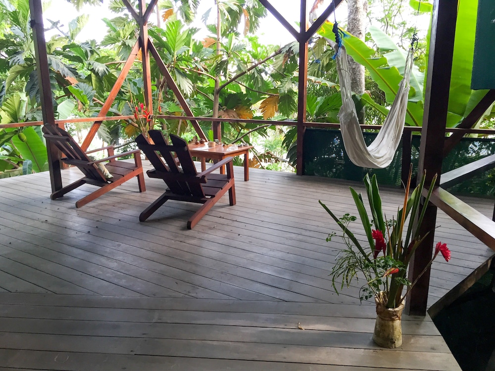 Tropical Honeymoon photo 3