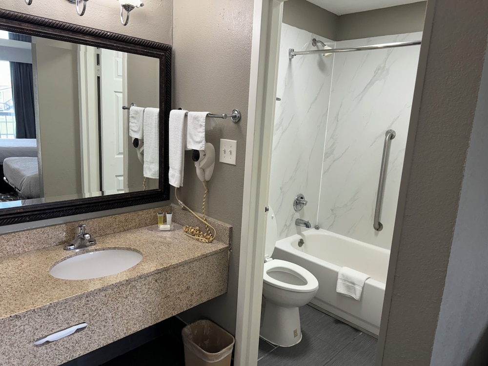 Deluxe Studio Suite photo 3