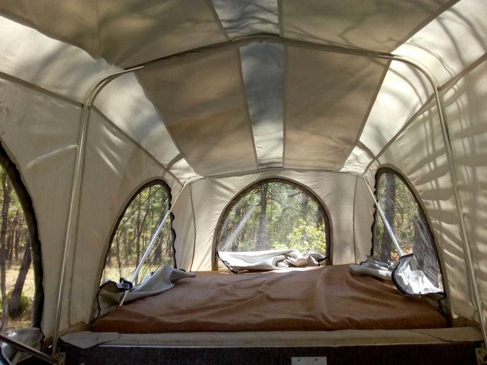 Basic Tent photo 2
