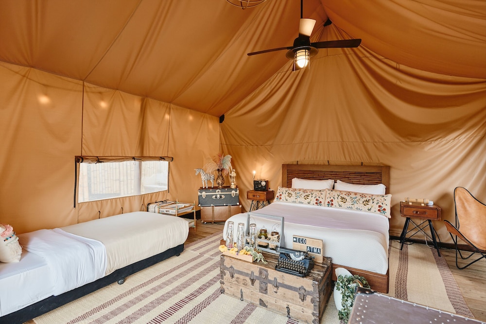 Safari Lux 2 - Photo 14
