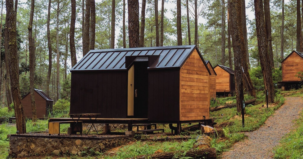 Deluxe Cabin photo 2