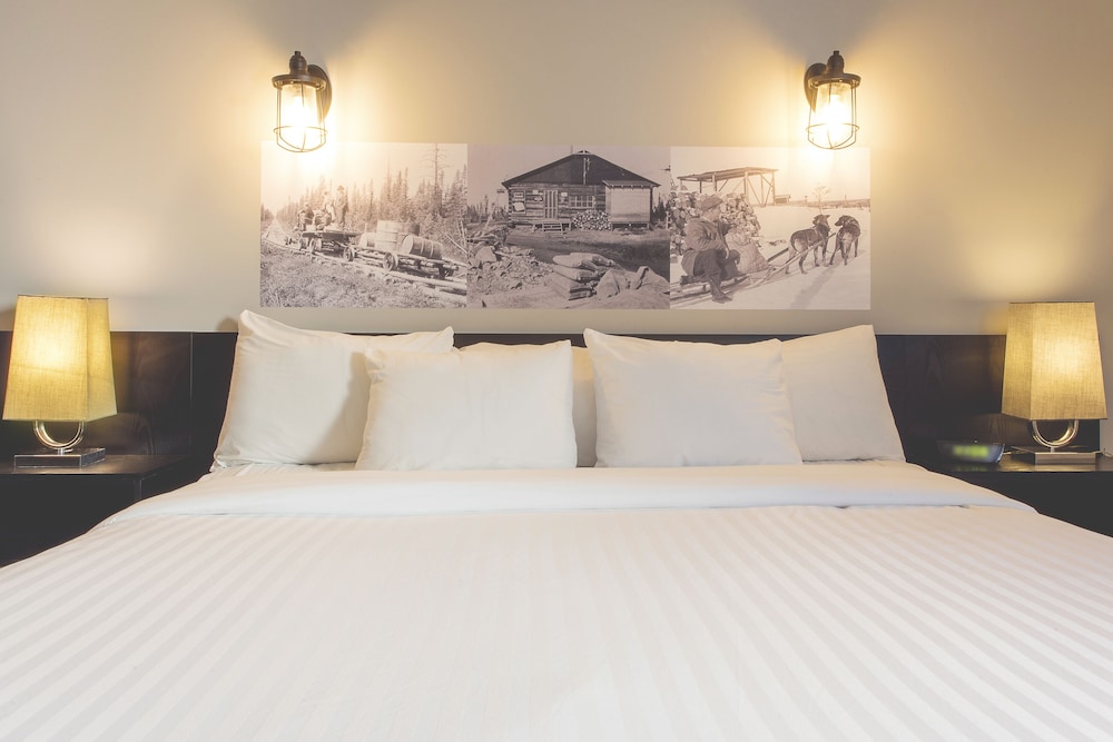 Room, 1 King Bed (Prospecteur)