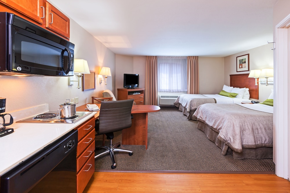 Studio Suite, 2 Double Beds - Photo 2