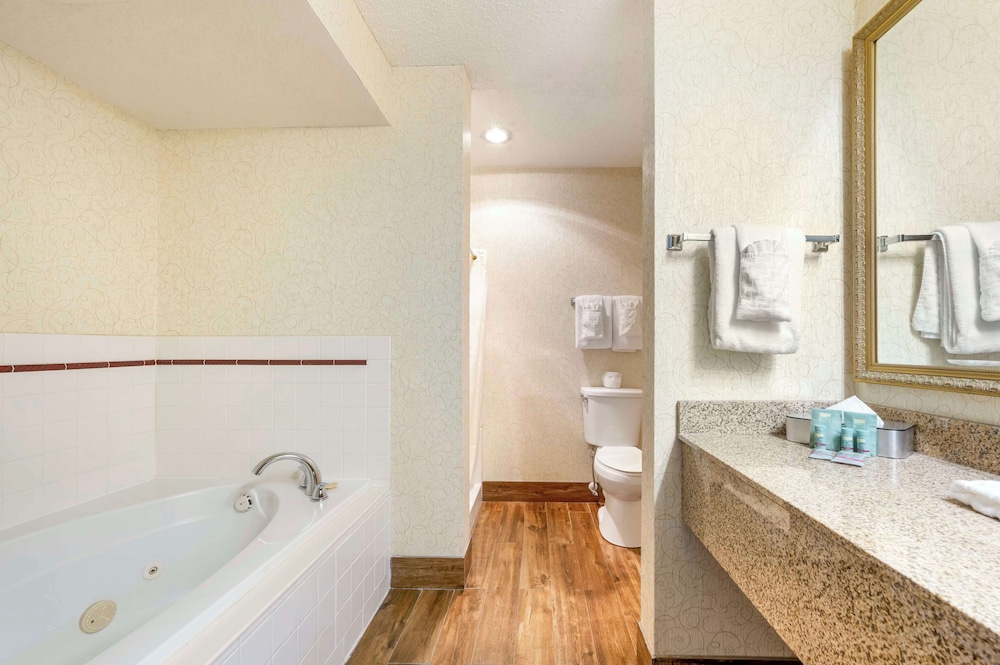 Standard Room, 1 King Bed, Non Smoking, Jetted Tub - Photo 5