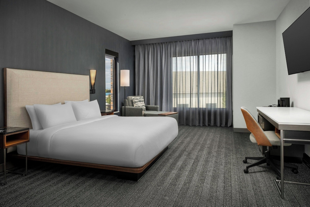 Suite, 1 King Bed with Sofa bed