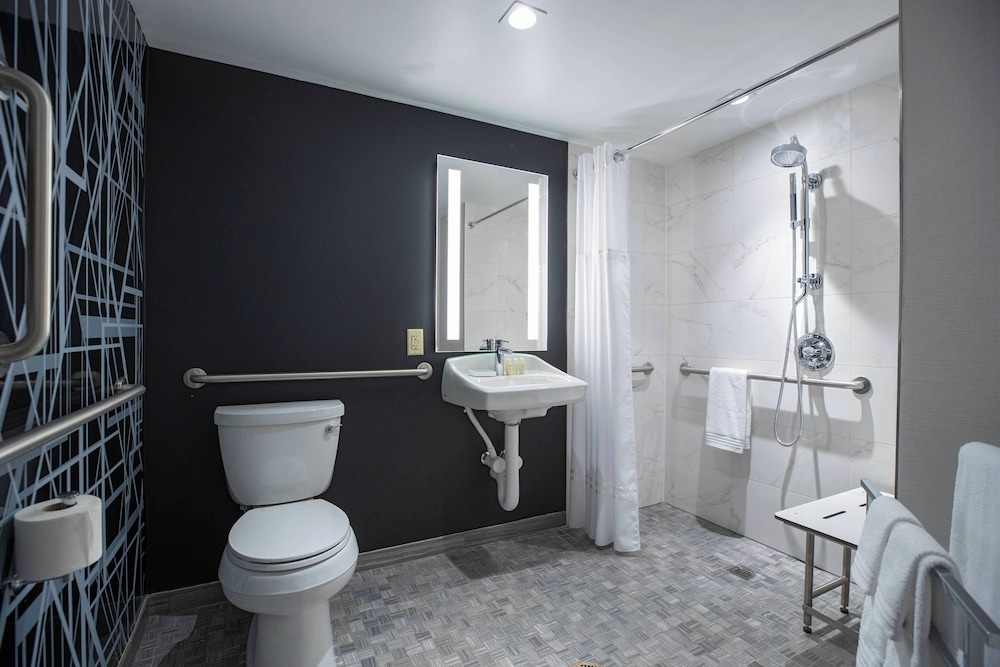 Standard Room, 1 King Bed (Mobility/Hearing Access, Roll-in Shwr) - Photo 8