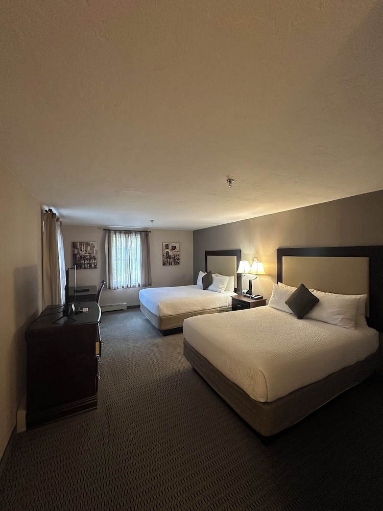 Standard Single Room, 2 Queen Beds photo 1