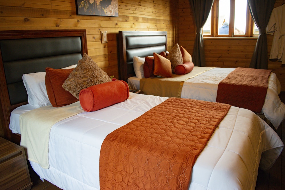 Premium Cabin