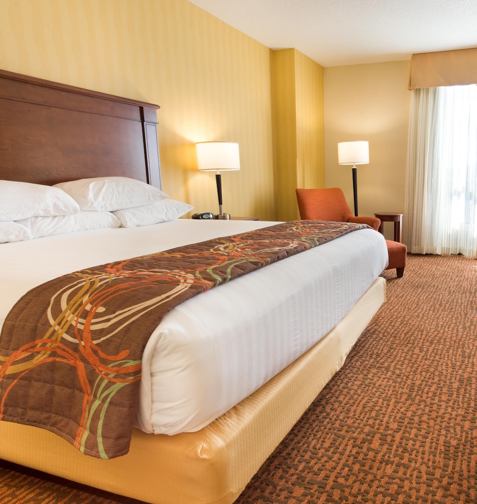 Suite, 1 King Bed with Sofa bed, Refrigerator & Microwave (Upper Floor)