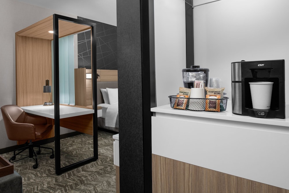 Suite, 1 King Bed - Photo 8