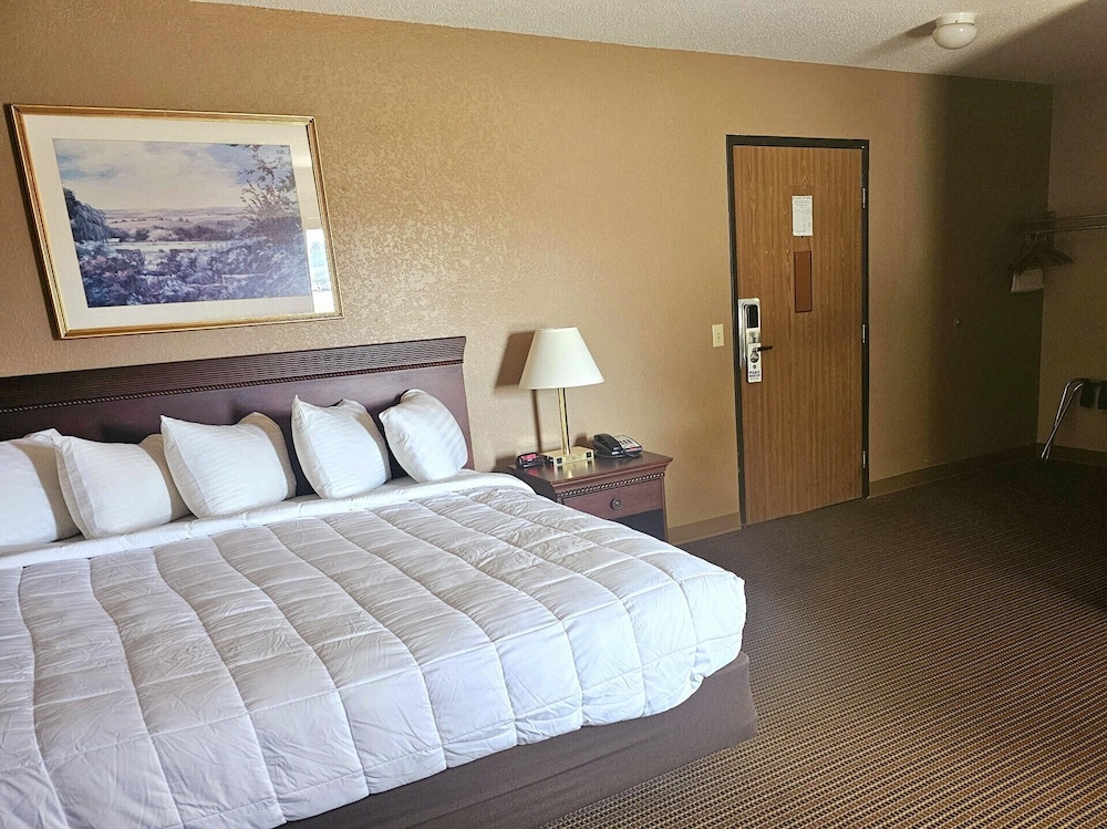 Basic Suite