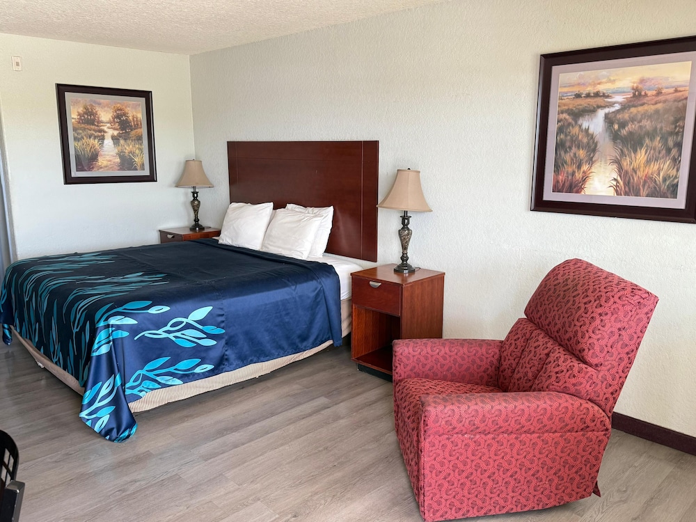 Room, 1 King Bed, Non Smoking photo 2