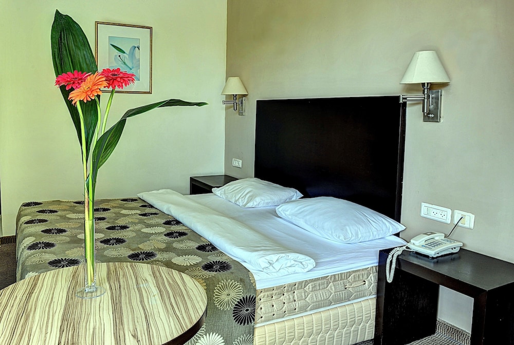 Double or Twin Room photo 3
