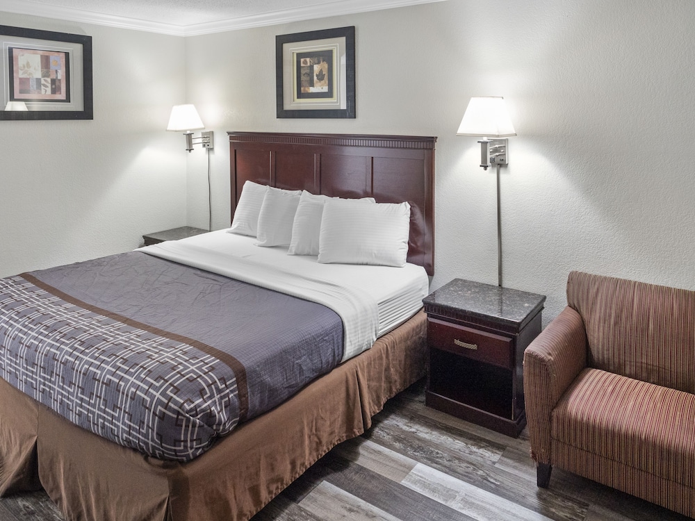 Room, 1 King Bed, Non Smoking