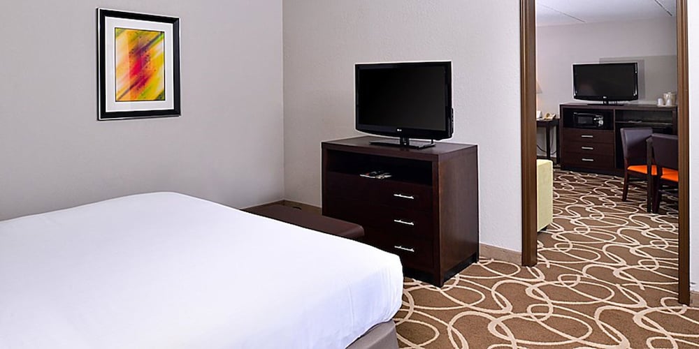 Suite, 1 King Bed, Non Smoking - Photo 4