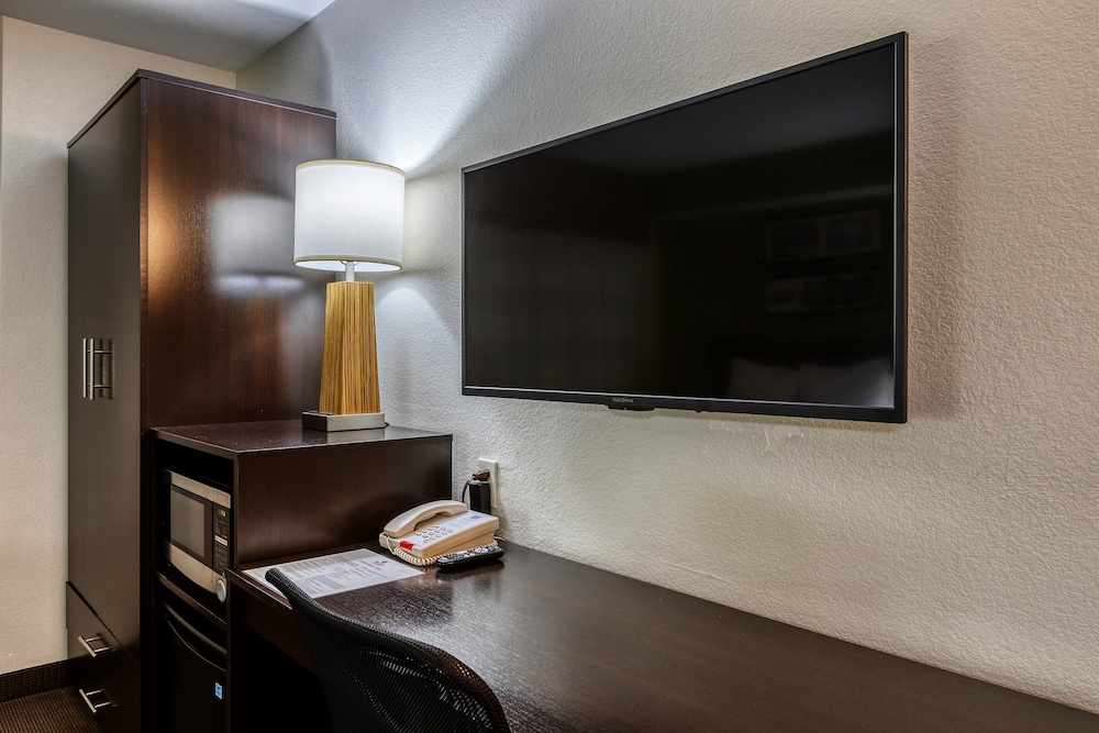Standard Room, 1 Queen Bed, Accessible, Refrigerator & Microwave - Photo 12