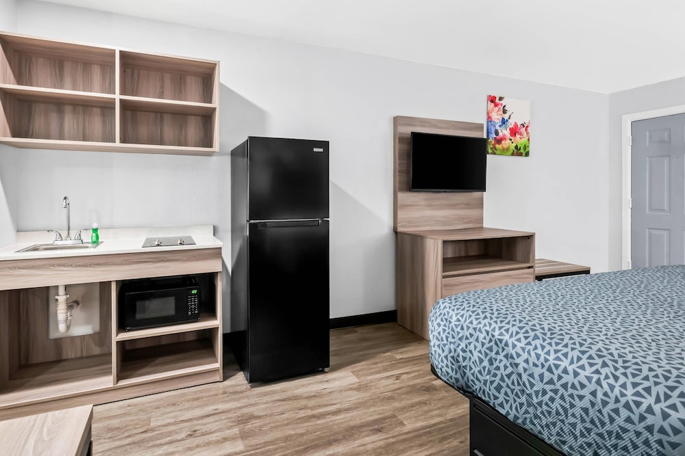 Standard Single Room, 1 King Bed, Non Smoking (Efficiency) photo 3