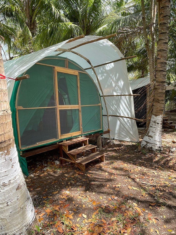 Basic Tent photo 1