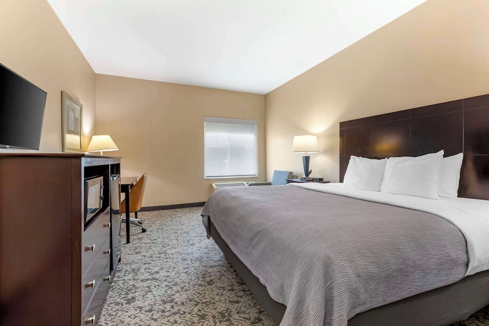 Room, 1 King Bed, Non Smoking, Kitchen (Utilities)