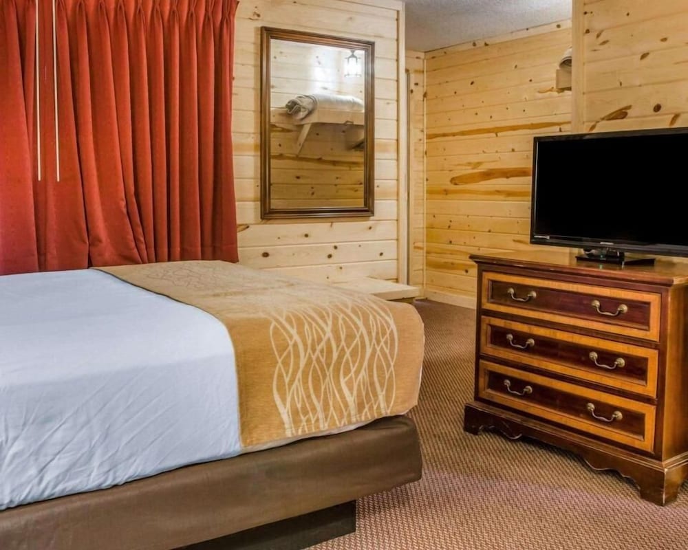 Basic Room photo 2