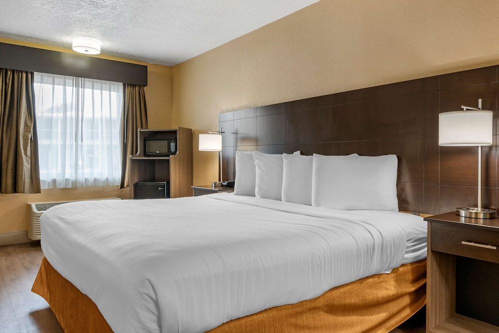 Standard Room, 1 Double Bed, Accessible, Non Smoking - Photo 6
