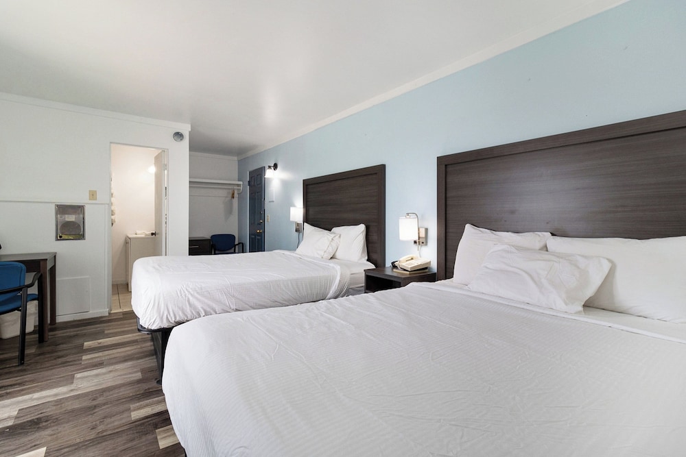Standard Room, 2 Queen Beds, Patio, Lake View