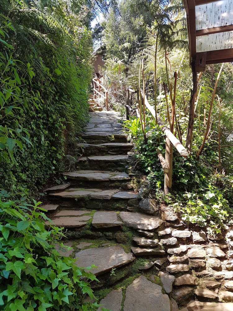 Chucao photo 3