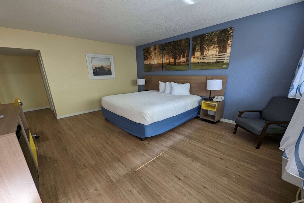 Room, 1 King Bed, Non Smoking photo 1
