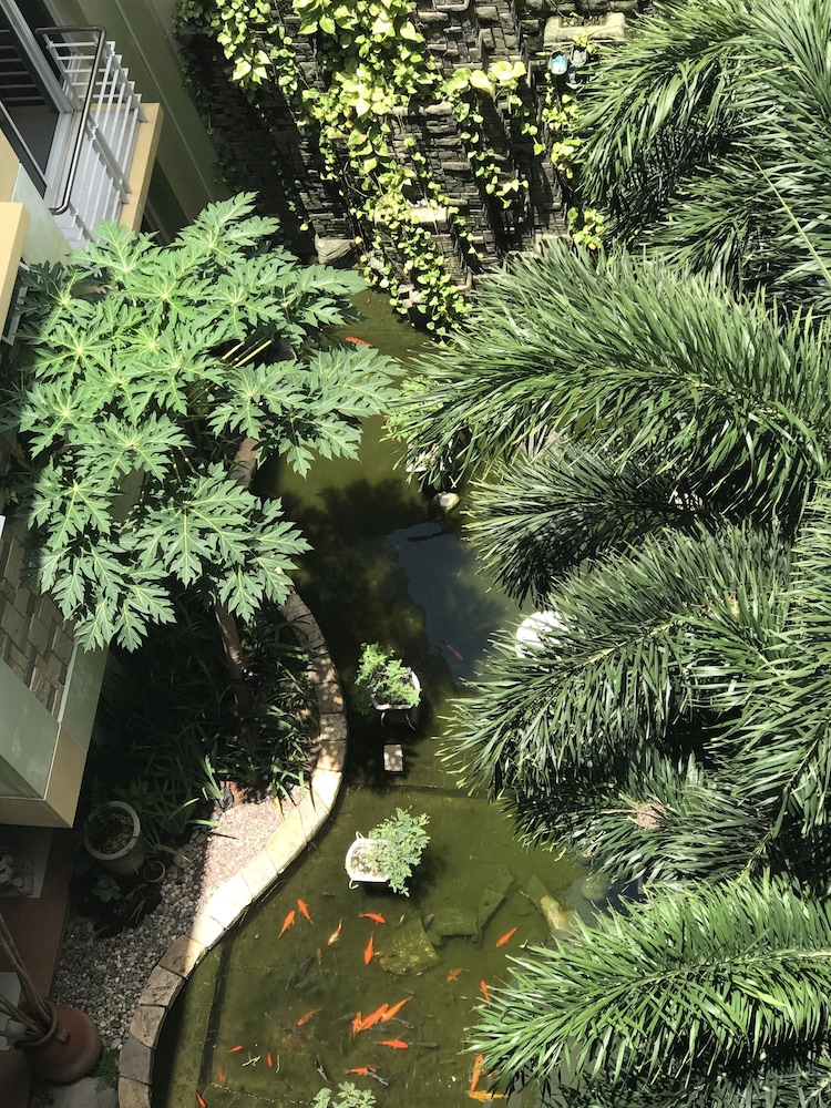 Waterfalls View Room