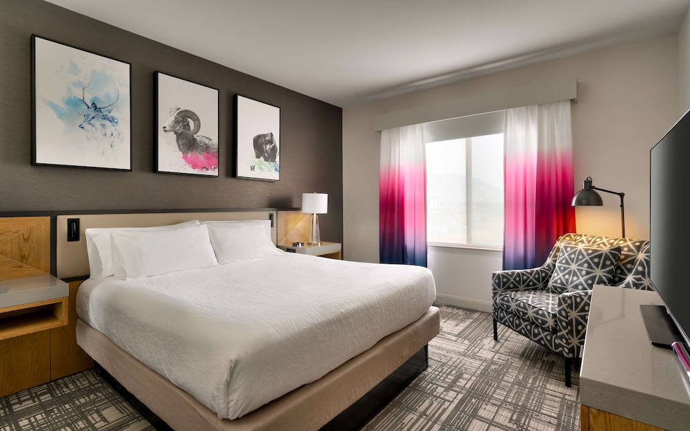 Suite - Photo 2