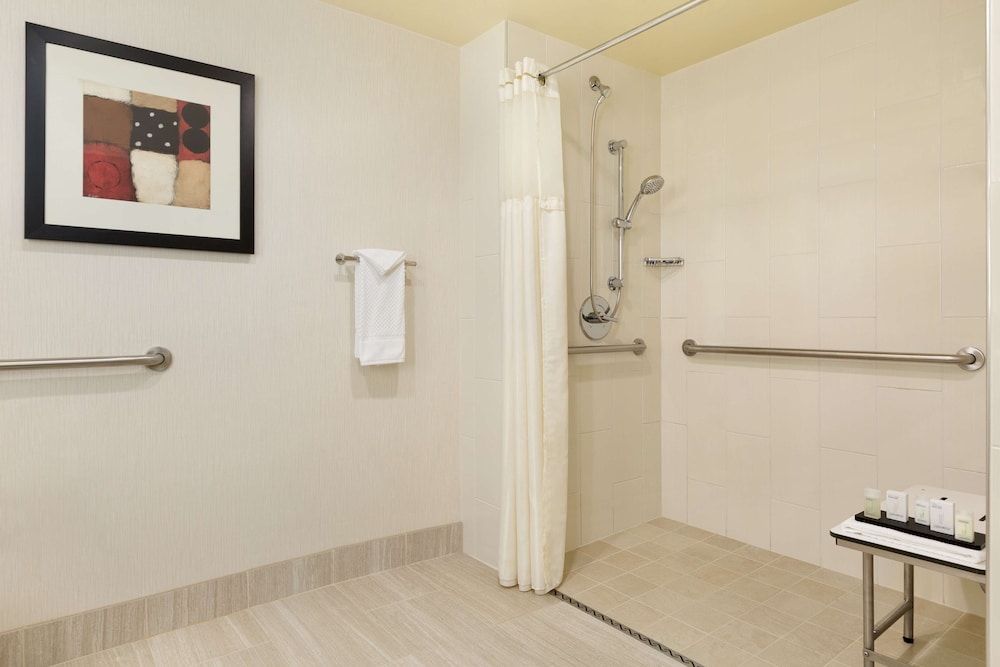 Suite, 1 King Bed, Accessible, Non Smoking (Mobility & Hearing, Roll-in Shower) - Photo 4