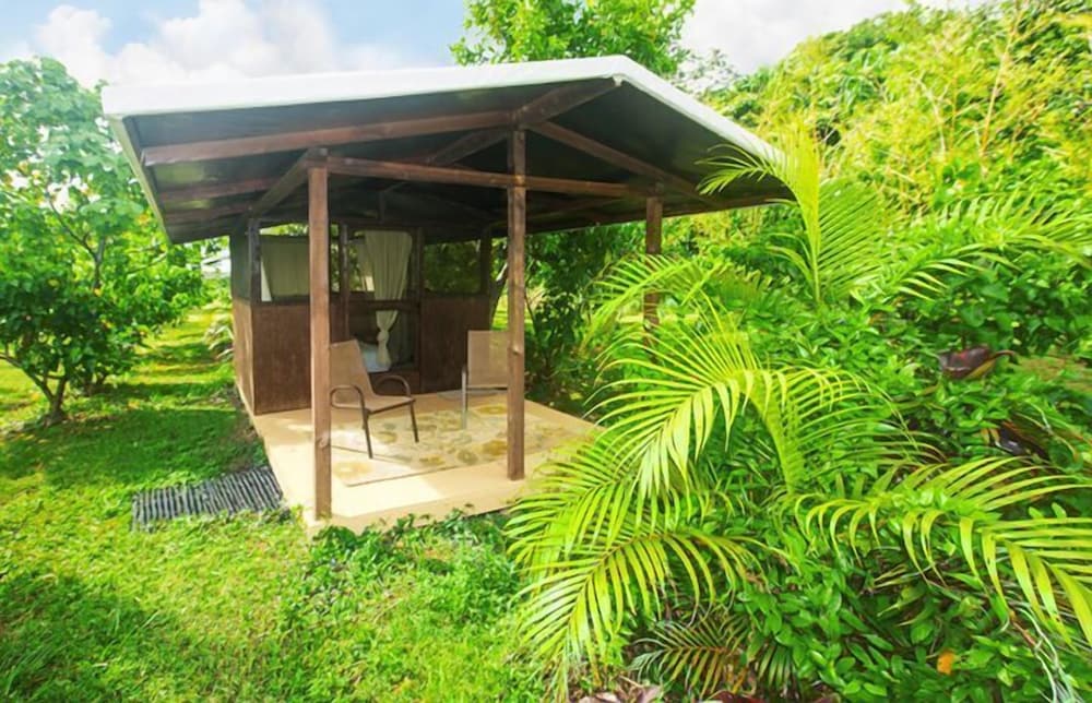 Basic Cabin (Milo 2) photo 2