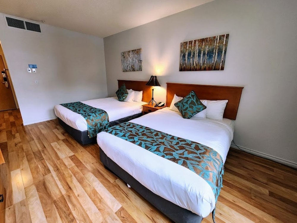 Economy Double Room Single Use, 2 Queen Beds, Accessible, Pool Access photo 3