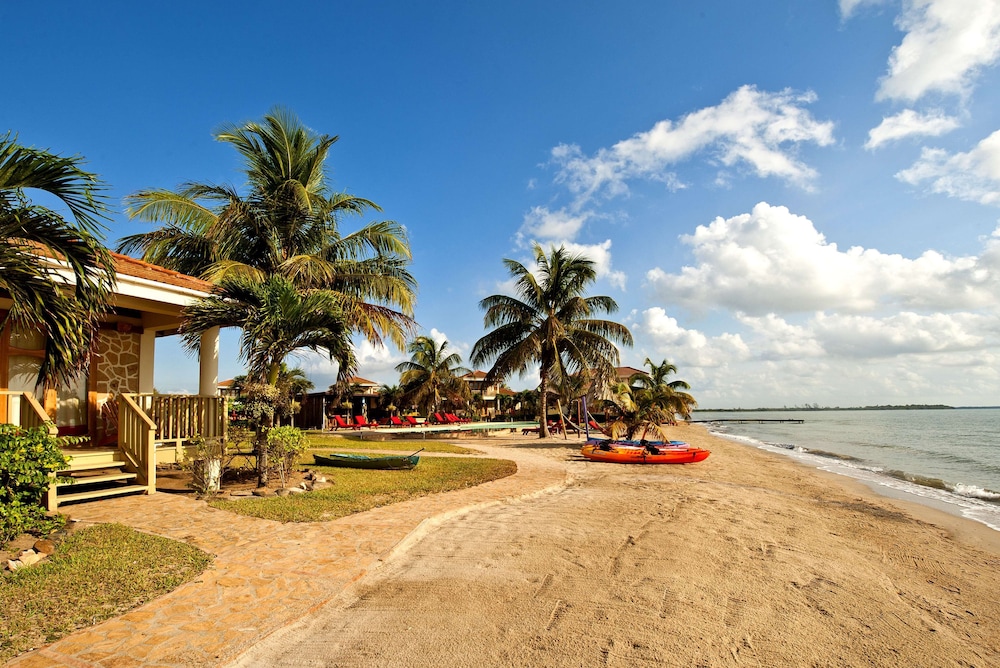 Room, 1 Bedroom, Patio, Beachfront photo 3