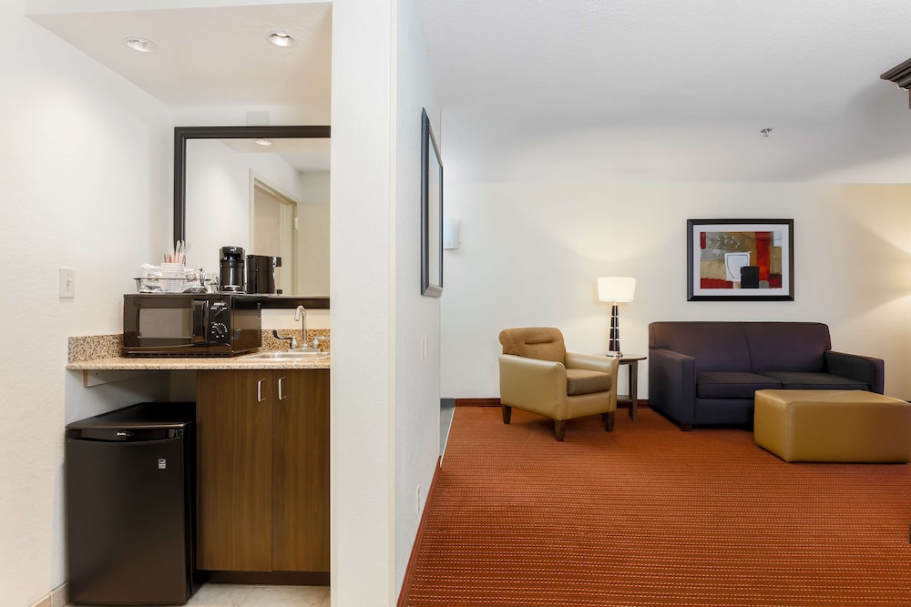 Suite, 1 King Bed with Sofa bed, Non Smoking - Photo 6