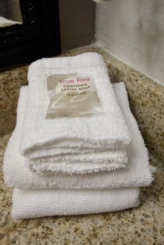 Deluxe Room, 1 King Bed, Accessible, Non Smoking (Roll-in Shower) - Photo 4