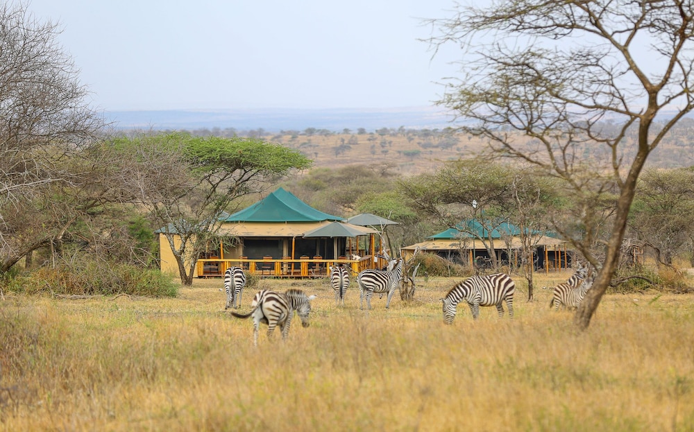 Luxury Triple Room photo 3