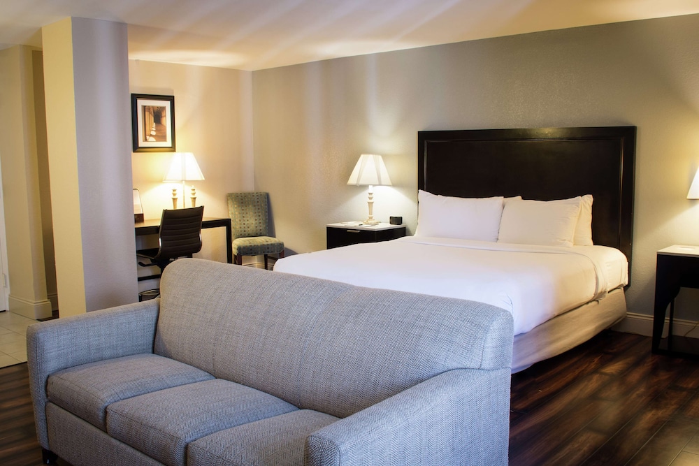 Junior Suite, 1 King Bed - Photo 7