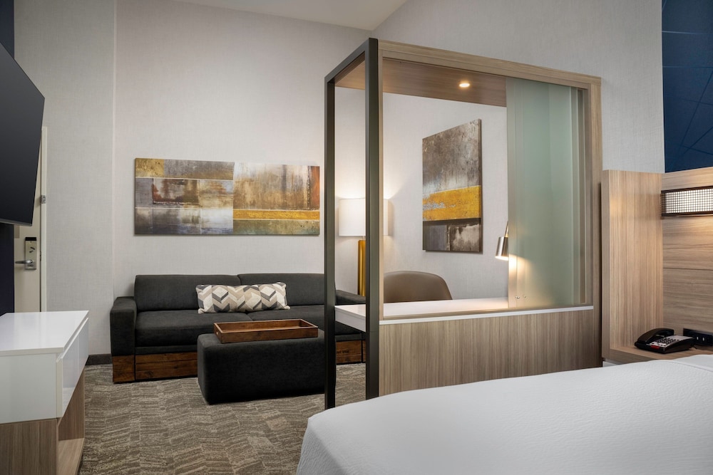 Suite, 1 King Bed