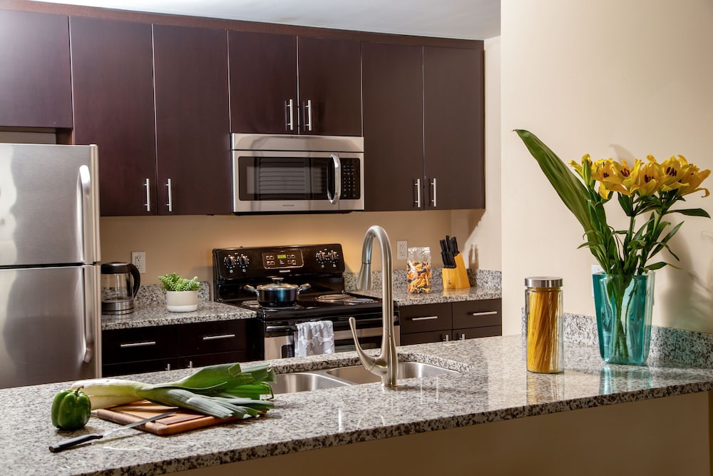 Executive Apartment, 1 Bedroom, Bay View photo 2