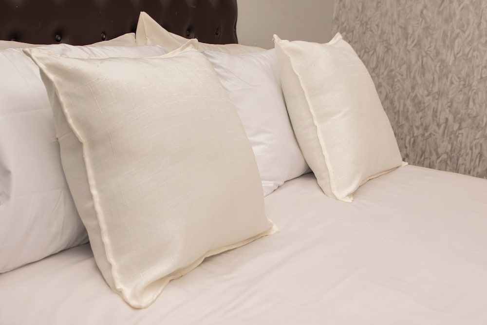 Comfort Single Room, 1 Queen Bed photo 1