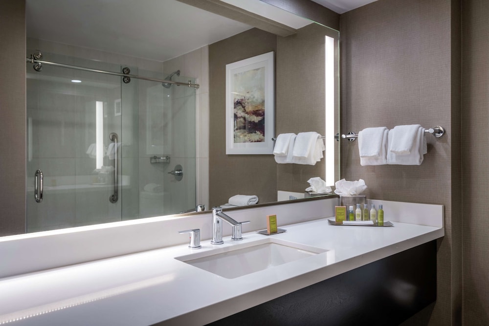 Junior Suite, 1 King Bed, Accessible, Non Smoking (Roll-in Shower) - Photo 9