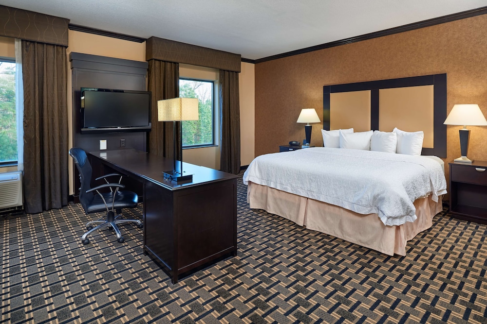 Suite, 1 King Bed, Accessible, Non Smoking - Photo 1